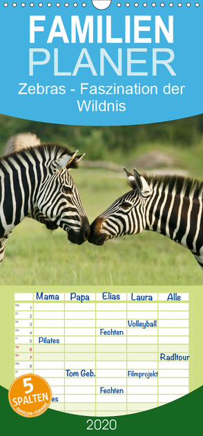 Zebras – Faszination der Wildnis – Familienplaner hoch (Wandkalender 2020 , 21 cm x 45 cm, hoch) von Haase,  Nadine