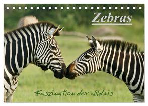 Zebras – Faszination der Wildnis (Tischkalender 2024 DIN A5 quer), CALVENDO Monatskalender von Haase,  Nadine
