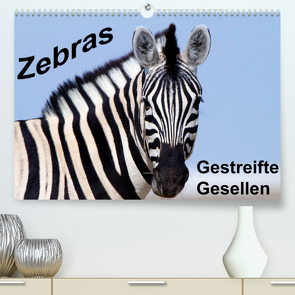 Zebras – Gestreifte Gesellen (Premium, hochwertiger DIN A2 Wandkalender 2022, Kunstdruck in Hochglanz) von Stern,  Angelika