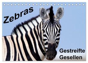 Zebras – Gestreifte Gesellen (Tischkalender 2024 DIN A5 quer), CALVENDO Monatskalender von Stern,  Angelika