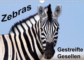 Zebras – Gestreifte Gesellen (Wandkalender 2022 DIN A4 quer) von Stern,  Angelika