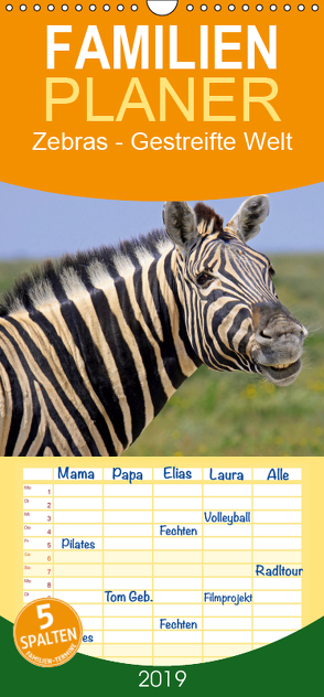 Zebras – Gestreifte Welt – Familienplaner hoch (Wandkalender 2019 , 21 cm x 45 cm, hoch) von Woyke,  Wibke