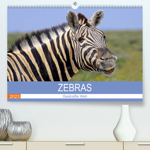 Zebras – Gestreifte Welt (Premium, hochwertiger DIN A2 Wandkalender 2023, Kunstdruck in Hochglanz) von Woyke,  Wibke