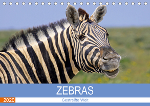 Zebras – Gestreifte Welt (Tischkalender 2020 DIN A5 quer) von Woyke,  Wibke