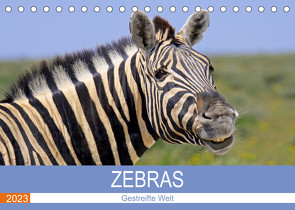 Zebras – Gestreifte Welt (Tischkalender 2023 DIN A5 quer) von Woyke,  Wibke