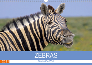 Zebras – Gestreifte Welt (Wandkalender 2021 DIN A3 quer) von Woyke,  Wibke