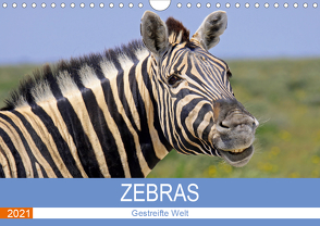 Zebras – Gestreifte Welt (Wandkalender 2021 DIN A4 quer) von Woyke,  Wibke