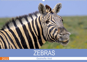 Zebras – Gestreifte Welt (Wandkalender 2022 DIN A2 quer) von Woyke,  Wibke