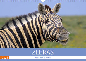 Zebras – Gestreifte Welt (Wandkalender 2023 DIN A3 quer) von Woyke,  Wibke