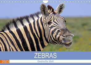 Zebras – Gestreifte Welt (Wandkalender 2023 DIN A4 quer) von Woyke,  Wibke
