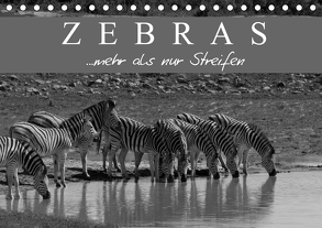 Zebras – Mehr als nur Streifen (Tischkalender 2020 DIN A5 quer) von Pavlowsky Photography,  Markus