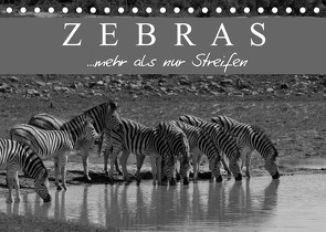 Zebras – Mehr als nur Streifen (Tischkalender 2023 DIN A5 quer) von Pavlowsky Photography,  Markus