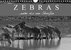 Zebras – Mehr als nur Streifen (Wandkalender 2020 DIN A4 quer) von Pavlowsky Photography,  Markus