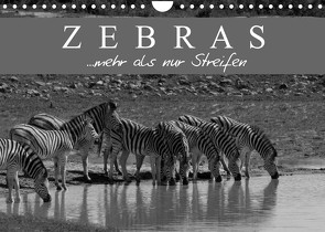 Zebras – Mehr als nur Streifen (Wandkalender 2022 DIN A4 quer) von Pavlowsky Photography,  Markus