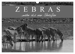 Zebras – Mehr als nur Streifen (Wandkalender 2024 DIN A3 quer), CALVENDO Monatskalender von Pavlowsky Photography,  Markus