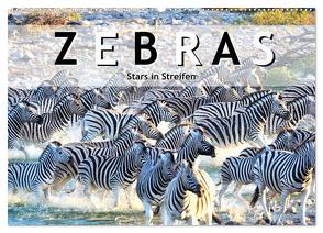 Zebras, Stars in Streifen (Wandkalender 2024 DIN A2 quer), CALVENDO Monatskalender von Styppa,  Robert