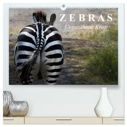 Zebras – Ungezähmte Kraft (hochwertiger Premium Wandkalender 2024 DIN A2 quer), Kunstdruck in Hochglanz von Stanzer,  Elisabeth