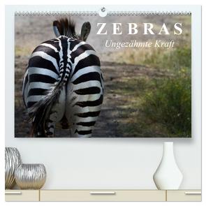 Zebras – Ungezähmte Kraft (hochwertiger Premium Wandkalender 2024 DIN A2 quer), Kunstdruck in Hochglanz von Stanzer,  Elisabeth
