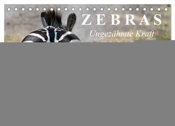 Zebras – Ungezähmte Kraft (Tischkalender 2024 DIN A5 quer), CALVENDO Monatskalender von Stanzer,  Elisabeth