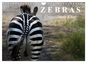 Zebras – Ungezähmte Kraft (Wandkalender 2024 DIN A4 quer), CALVENDO Monatskalender von Stanzer,  Elisabeth