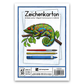 Zeichenkarton 120g/m²