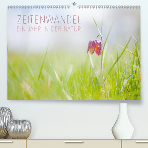 Zeitenwandel – Ein Jahr in der Natur (Premium, hochwertiger DIN A2 Wandkalender 2021, Kunstdruck in Hochglanz) von Jackson,  Lain