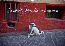 Zentral-Mexico erkunden (Posterbuch DIN A4 quer) von Tortora,  Alessandro