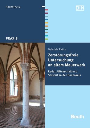 Zerstörungsfreie Untersuchung an altem Mauerwerk – Buch mit E-Book von Patitz,  Gabriele