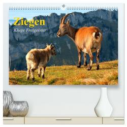 Ziegen. Kluge Freigeister (hochwertiger Premium Wandkalender 2024 DIN A2 quer), Kunstdruck in Hochglanz von Stanzer,  Elisabeth