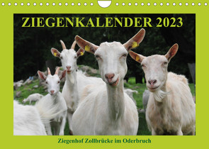 Ziegenkalender 2023 (Wandkalender 2023 DIN A4 quer) von und Dietmar Püpke,  Antje