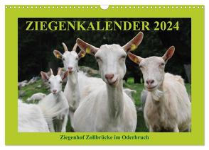 Ziegenkalender 2024 (Wandkalender 2024 DIN A3 quer), CALVENDO Monatskalender von und Dietmar Püpke,  Antje