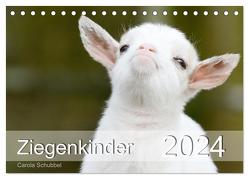 Ziegenkinder (Tischkalender 2024 DIN A5 quer), CALVENDO Monatskalender von Schubbel,  Carola