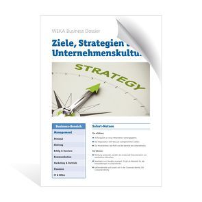 Ziele, Strategien und Unternehmenskultur von Hettl,  Matthias K.,  Dr.