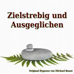 Zielstrebig und Ausgeglichen von Bauer,  Michael