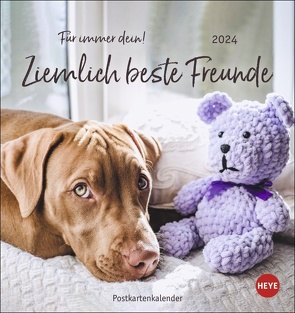 Ziemlich beste Freunde Postkartenkalender 2024