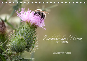 Zierbilder der Natur BLUMEN (Tischkalender 2022 DIN A5 quer) von Fuchs,  Dieter