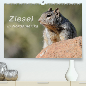 Ziesel in Nordamerika (Premium, hochwertiger DIN A2 Wandkalender 2023, Kunstdruck in Hochglanz) von Wilczek,  Dieter