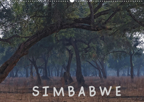 Zimbabwe (Wandkalender 2021 DIN A2 quer) von Wolf,  Gerald