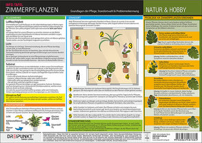 Zimmerpflanzen