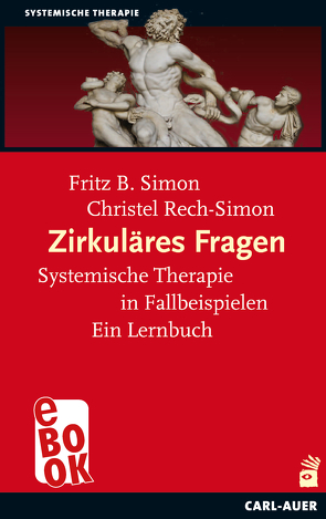 Zirkuläres Fragen von Rech-Simon,  Christel, Simon,  Fritz B.