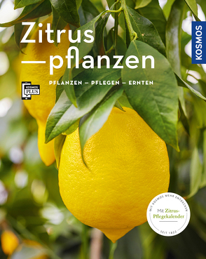 Zitruspflanzen (Mein Garten) von Holtforth,  Dominik Große