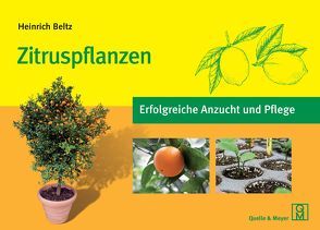 Zitruspflanzen von Beltz,  Heinrich