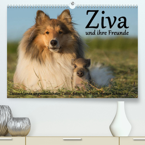 Ziva und ihre Freunde (Premium, hochwertiger DIN A2 Wandkalender 2023, Kunstdruck in Hochglanz) von Schmäing,  Werner