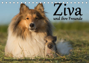 Ziva und ihre Freunde (Tischkalender 2023 DIN A5 quer) von Schmäing,  Werner