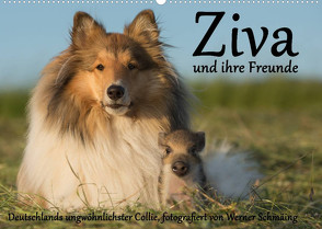 Ziva und ihre Freunde (Wandkalender 2022 DIN A2 quer) von Schmäing,  Werner