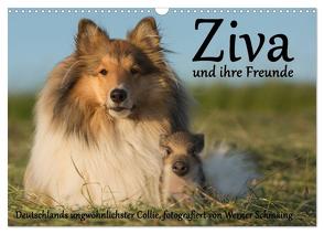 Ziva und ihre Freunde (Wandkalender 2024 DIN A3 quer), CALVENDO Monatskalender von Schmäing,  Werner