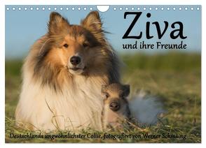 Ziva und ihre Freunde (Wandkalender 2024 DIN A4 quer), CALVENDO Monatskalender von Schmäing,  Werner