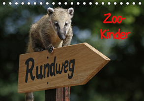 Zoo-Kinder (Tischkalender 2020 DIN A5 quer) von Pferdografen.de