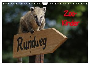 Zoo-Kinder (Wandkalender 2024 DIN A4 quer), CALVENDO Monatskalender von Pferdografen.de,  Pferdografen.de