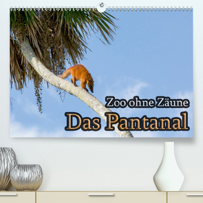 Zoo ohne Zäune – Das Pantanal (Premium, hochwertiger DIN A2 Wandkalender 2021, Kunstdruck in Hochglanz) von Sobottka,  Joerg
